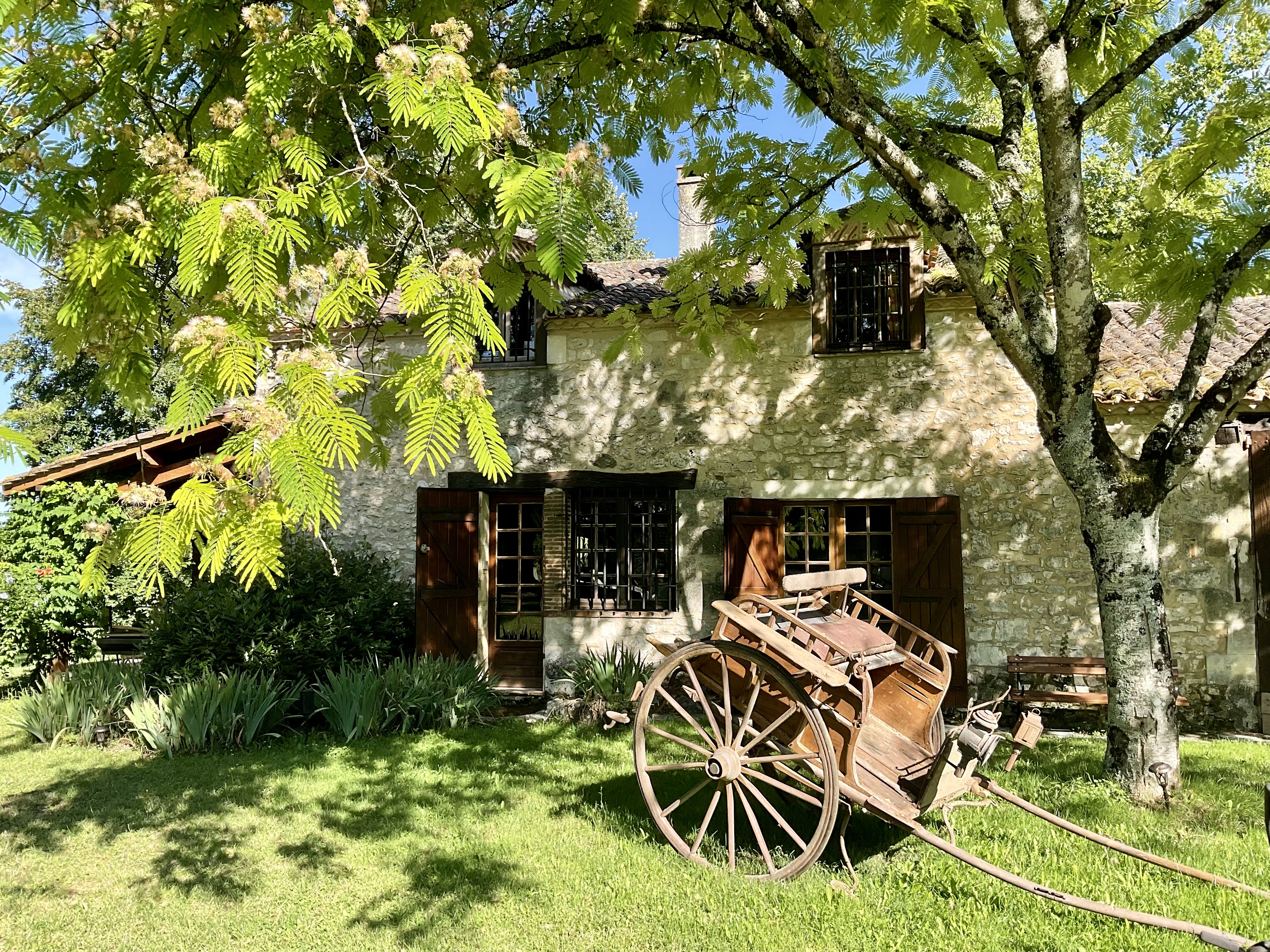 Maison des Tournesols — stone façade with antique cart under mimosa tree